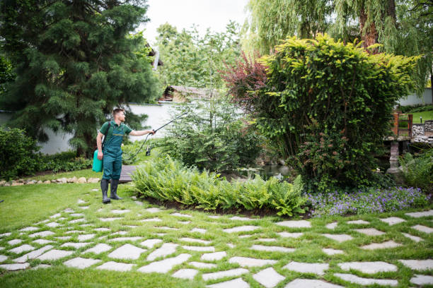 Best Local Pest Control Services  in Brawley, CA