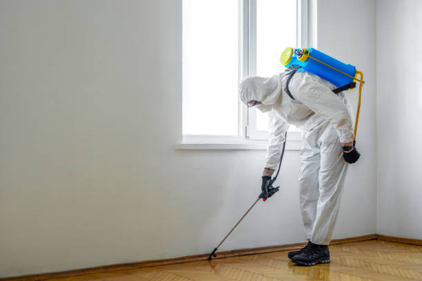 Pest Prevention Services in Brawley, CA