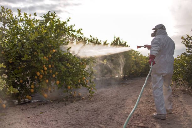 Best Mosquito Control Services  in Brawley, CA