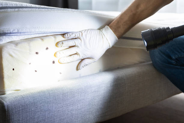 Best Commercial Pest Control Services  in Brawley, CA