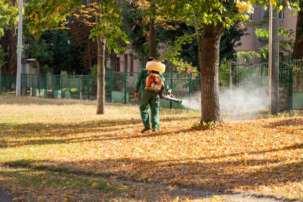 Best Mosquito Control Services  in Brawley, CA