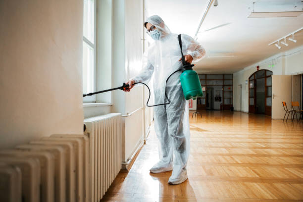 Best Flea Control Services  in Brawley, CA